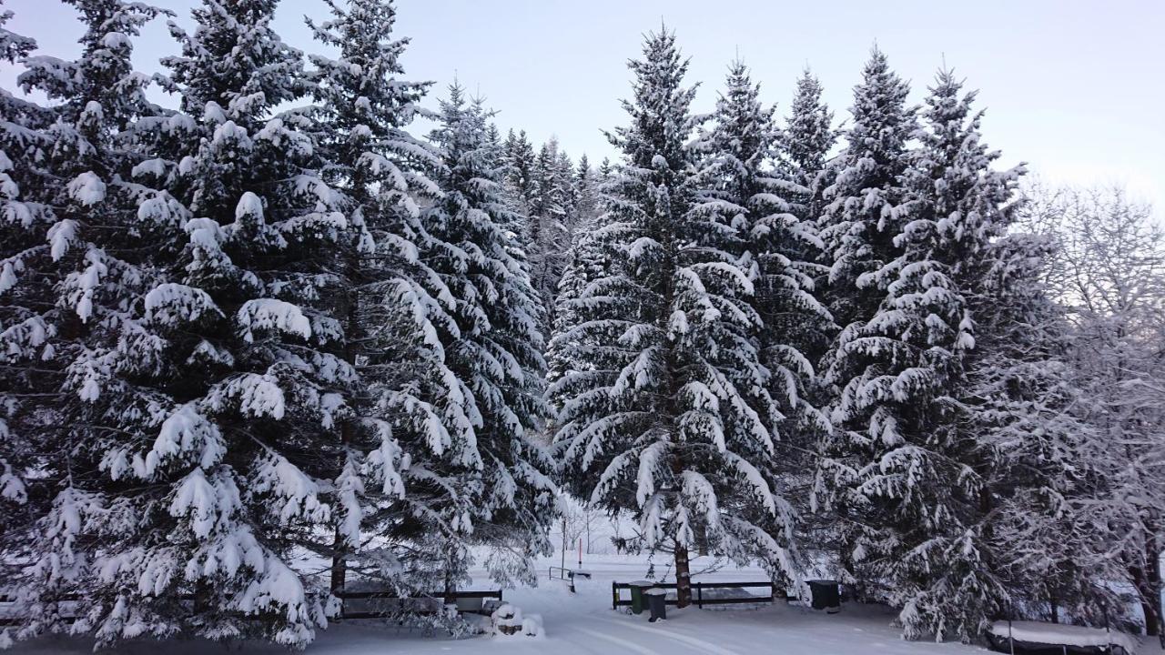 Am Kaltenbach - Spital Am Semmering, Stuhleck Kültér fotó