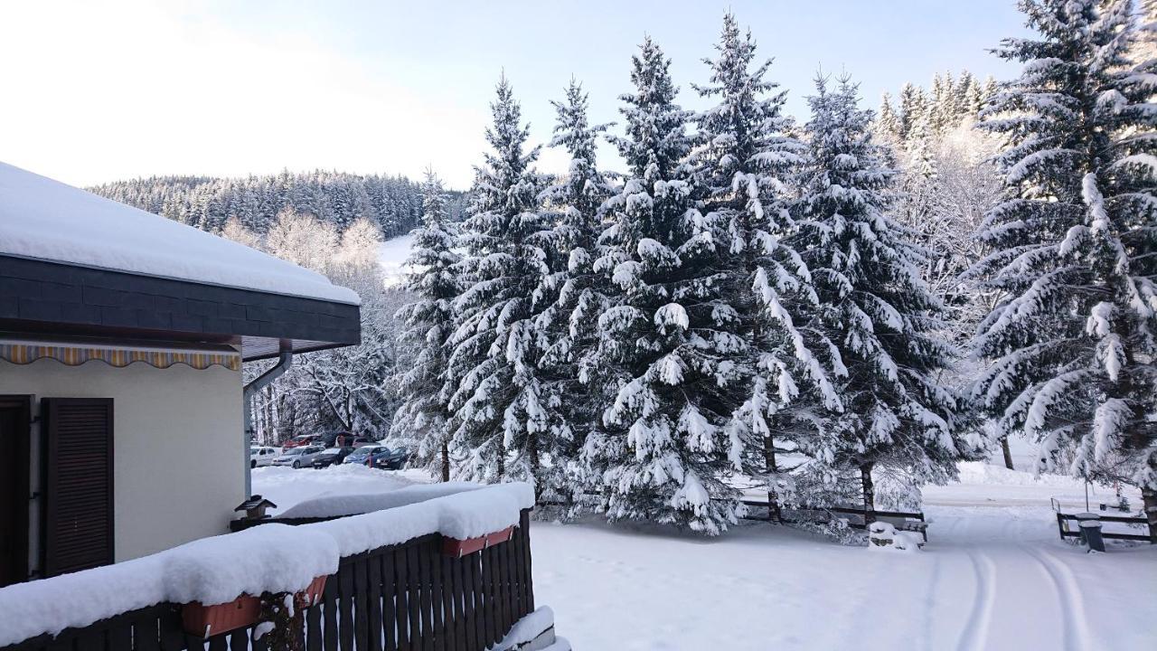 Am Kaltenbach - Spital Am Semmering, Stuhleck Kültér fotó