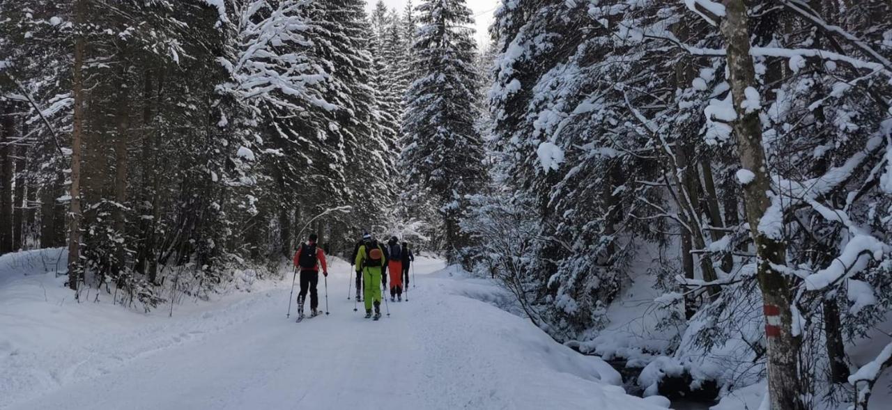 Am Kaltenbach - Spital Am Semmering, Stuhleck Kültér fotó