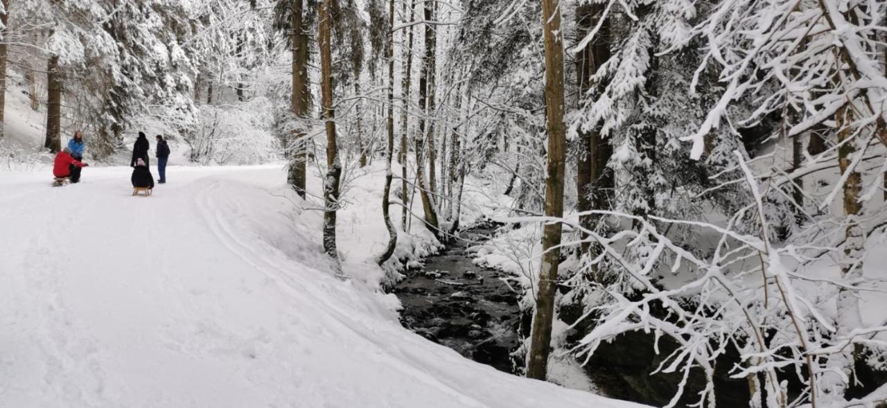 Am Kaltenbach - Spital Am Semmering, Stuhleck Kültér fotó