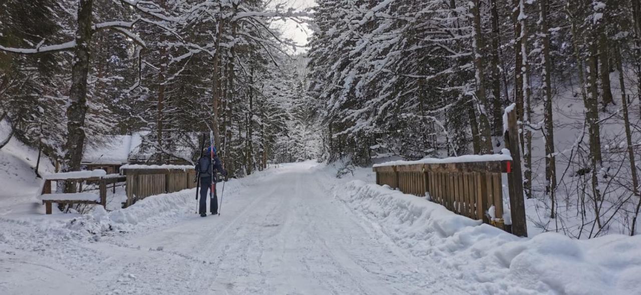 Am Kaltenbach - Spital Am Semmering, Stuhleck Kültér fotó